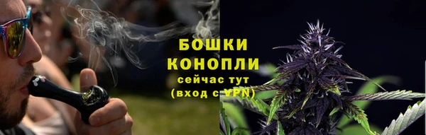 прущие крисы Пестово